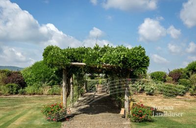 Landhus købe Manciano, Toscana:  RIF 3084 Weg im Garten