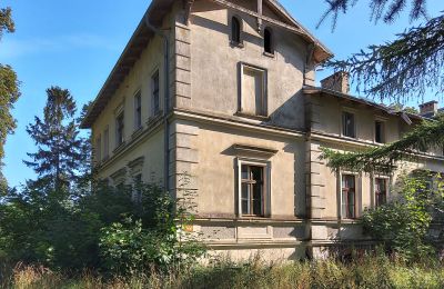 Slot til salg Stradzewo, Pałac w Stradzewie, województwo zachodniopomorskie, Sidevisning