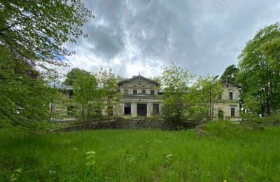 Slot til salg Stradzewo, Pałac w Stradzewie, województwo zachodniopomorskie, Billede 7/14
