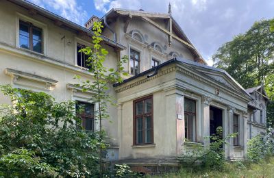 Slot til salg Stradzewo, Pałac w Stradzewie, województwo zachodniopomorskie, Indgang