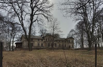 Slot købe Stradzewo, Pałac w Stradzewie, województwo zachodniopomorskie:  Park