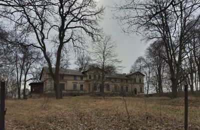 Kasteel te koop Stradzewo, Pałac w Stradzewie, województwo zachodniopomorskie:  Park