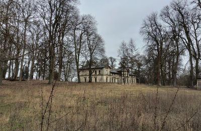 Slott til salgs Stradzewo, Pałac w Stradzewie, województwo zachodniopomorskie:  Park