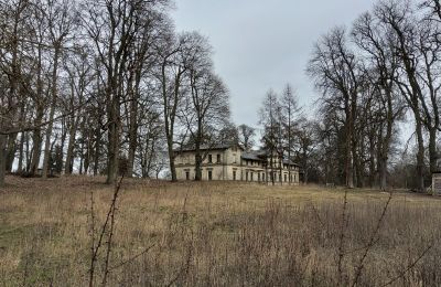 Slot til salg Stradzewo, Pałac w Stradzewie, województwo zachodniopomorskie, Park
