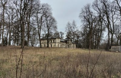 Slot købe Stradzewo, Pałac w Stradzewie, województwo zachodniopomorskie:  