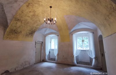 Slot til salg Opava, Moravskoslezský kraj, Billede 11/15
