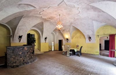 Slot til salg Opava, Moravskoslezský kraj, Indgangshal