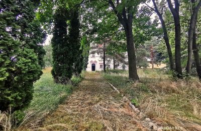 Slot til salg Opava, Moravskoslezský kraj, Indkørsel