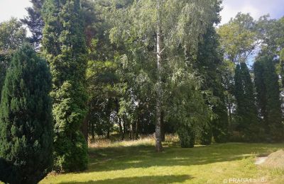 Kasteel te koop Opava, Moravskoslezský kraj:  Park