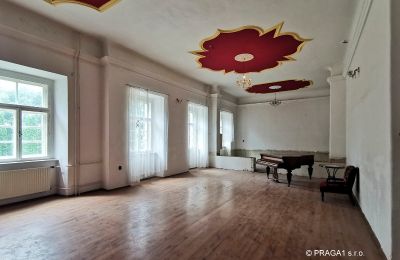 Slot til salg Opava, Moravskoslezský kraj, Balsal