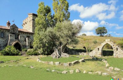 Burg te koop 06059 Todi, Umbria:  