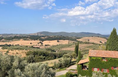 Lantgård till salu Campagnatico, Toscana:  Utsikt