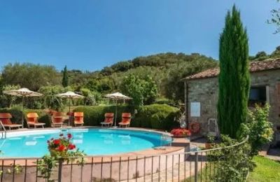 Lantgård till salu Campagnatico, Toscana:  Pool