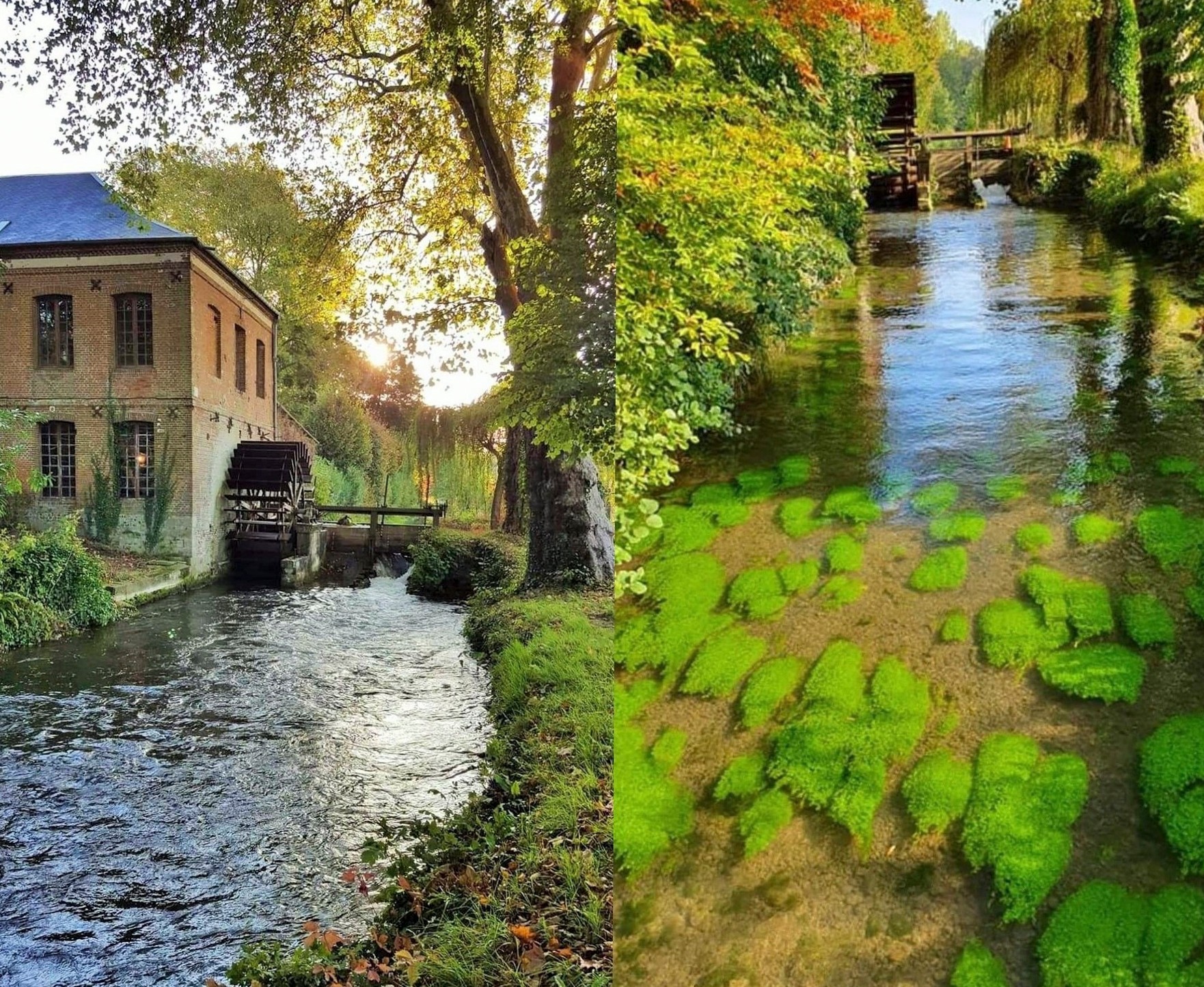 Château mit englischem Garten in der Nähe von Paris