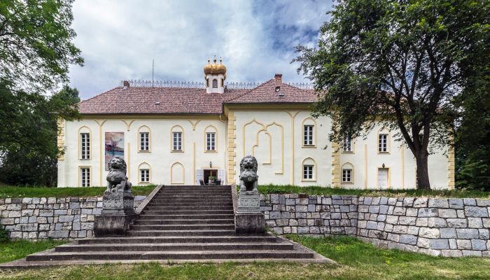 Slott Szombathely, Vas fylke