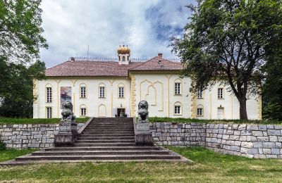 Slott till salu Szombathely, Vas:  Bakifrån