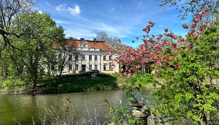 Slot til salg Gola, Store Polen