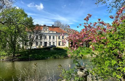 Slot til salg Gola, województwo wielkopolskie, Billede 2/42