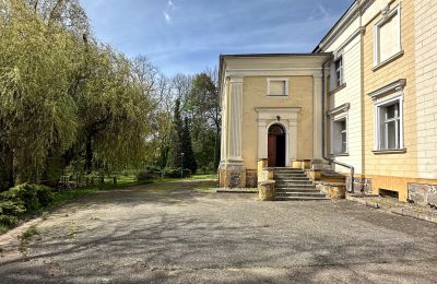 Slot til salg Gola, województwo wielkopolskie, Billede 42/42