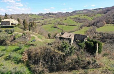 Borg til salg 06026 Pietralunga, Umbria, Billede 7/11