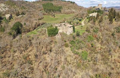 Burg te koop 06026 Pietralunga, Umbria:  Eigendom
