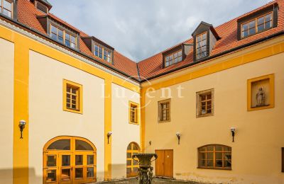 Borg til salg Třebotov, Třebotov tvrz, Středočeský kraj, Billede 6/36