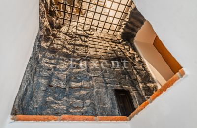 Borg til salg Třebotov, Třebotov tvrz, Středočeský kraj, Billede 22/36