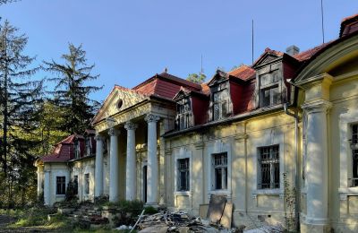 Slot til salg Skoraszewice, Skoraszewice  16, województwo wielkopolskie, Billede 7/8