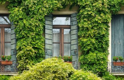 Der Immobilienkauf: Welche Punkte sind Interessenten wichtig?, Kranich17 | Pixabay