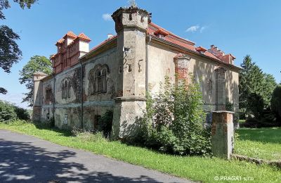Schloss kaufen Karlovarský kraj:  Rückansicht