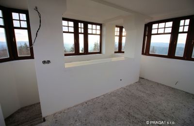 Historisk villa til salg Karlovy Vary, Karlovarský kraj, Billede 5/10