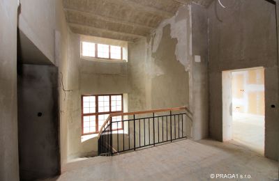 Historisk villa til salg Karlovy Vary, Karlovarský kraj, Billede 8/10