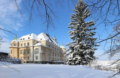 Slot til salg Liberec, Liberecký kraj, Bagudvendt