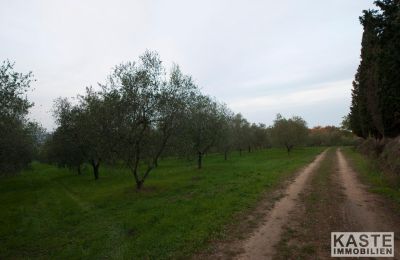 Kloster købe Peccioli, Toscana:  