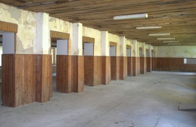 Herregård til salg Nitriansky kraj, Billede 7/19
