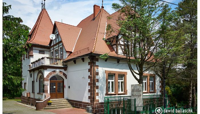 Historische Villa Świeradów-Zdrój 2