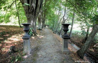 Slott til salgs Jihočeský kraj, Park