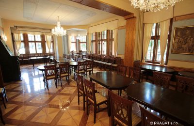 Slott til salgs Jihočeský kraj, Bilde 10/21