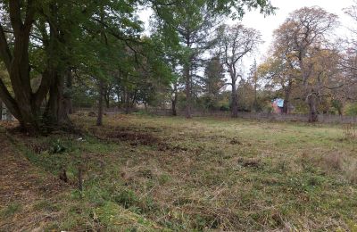 Slott till salu Dobrowo, województwo zachodniopomorskie, Park