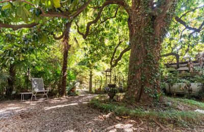 Historische villa te koop Verbano-Cusio-Ossola, Pallanza, Piemonte:  Tuin