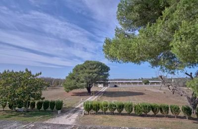 Landhaus kaufen Francavilla Fontana, Apulien:  
