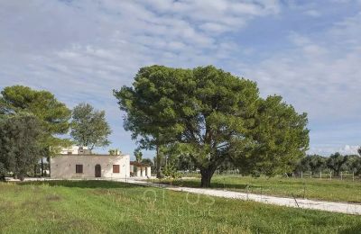 Landhus købe Francavilla Fontana, Puglia:  Udvendig visning