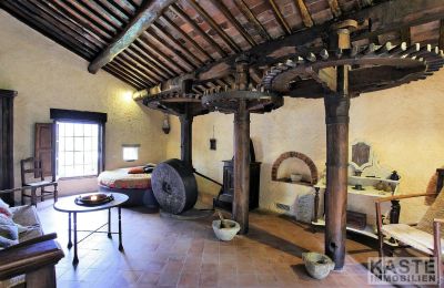 Mølle til salg Camaiore, Toscana, Billede 3/12