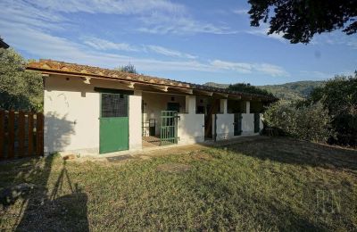 Historisk villa til salg Castiglion Fiorentino, Toscana, Billede 44/45