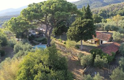 Historisk villa til salg Castiglion Fiorentino, Toscana, Billede 17/45