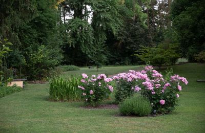 Slot til salg Baden-Württemberg, Park