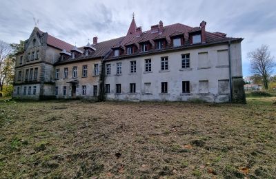 Schloss kaufen Grabiszyce Średnie, ul. Baworowo 14, Niederschlesien:  Rückansicht