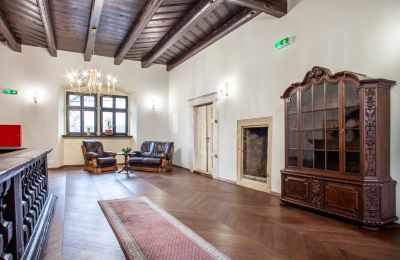 Herregård til salg Sędzisław, Dwór w Sędzisławiu, województwo dolnośląskie, Billede 10/29