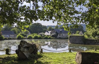 Slott til salgs Le Mans, Pays de la Loire:  