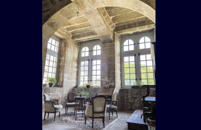 Slott til salgs Le Mans, Pays de la Loire, Detaljer